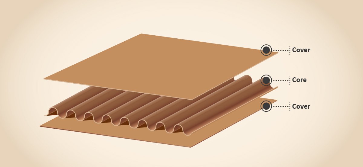 A close-up shot showing the layers and fluted structure of corrugated cardboard.